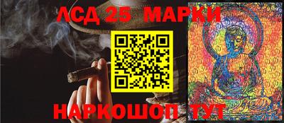 прущие грибы Можга