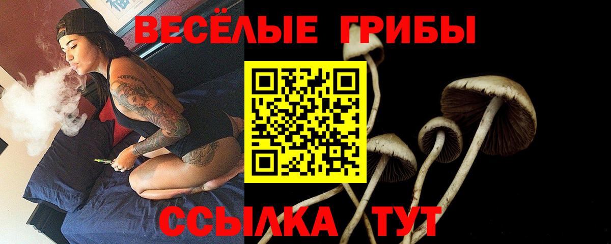 Химки  Псилоцибиновые грибы ЛСД  Вход с VPN 